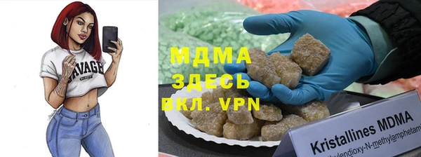 сатива Ельня