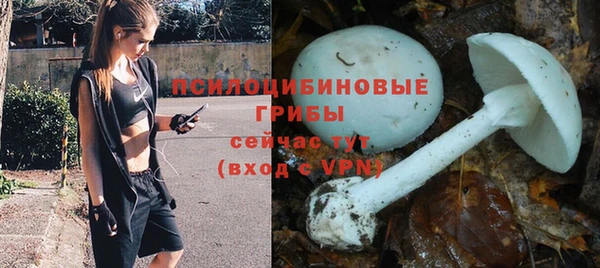 скорость mdpv Елизово