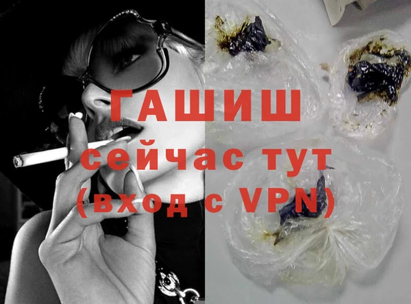 сатива Ельня