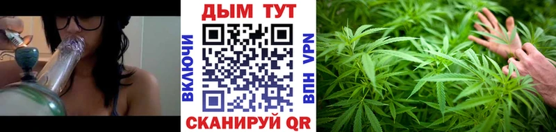 Каннабис план  Купить закладки  Киселёвск 